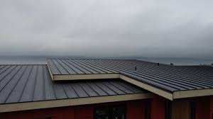 Best Rubber Roofing (EPDM, TPO)  in Tanque Verde, AZ